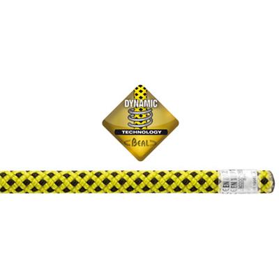 Corde dynastat Ø 10,5 mm